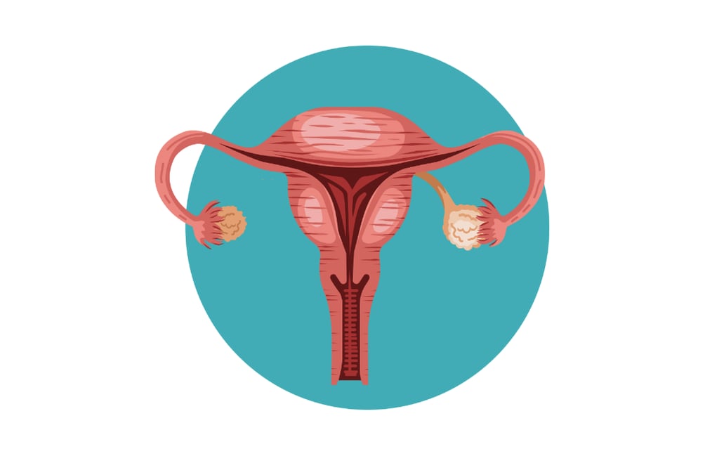 Hormonal Balance